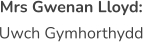Mrs Gwenan Lloyd:  Uwch Gymhorthydd