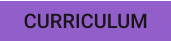CURRICULUM