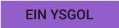 EIN YSGOL