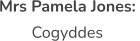 Ysgol Bro Dyfrdwy
