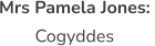Ysgol Bro Dyfrdwy